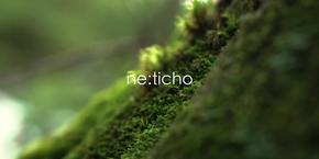 Videoesej "Ne:ticho"