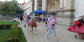 DSCN1465