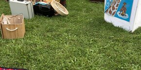 IMG_8067