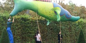 DSC03019
