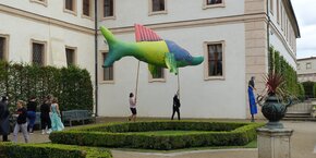 DSC03031