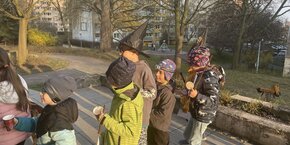 IMG_3117