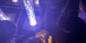 IMG_3246