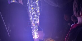 IMG_3245