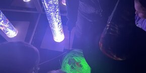 IMG_3247