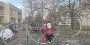 IMG_3146