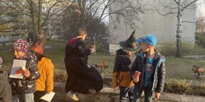IMG_3118