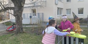 IMG_3085