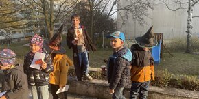 IMG_3119