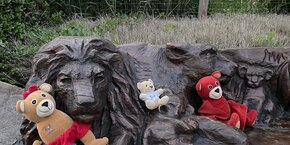Noc snů v ostravské zoologické zahradě