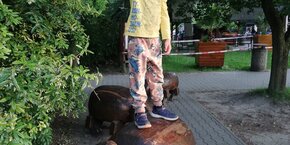 Obrázek WhatsApp, 2025-06-13 v 11.10.31_c84f70c6