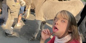 IMG_8523