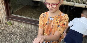 IMG_8570