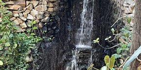 IMG_8573