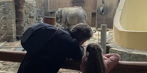 IMG_8585