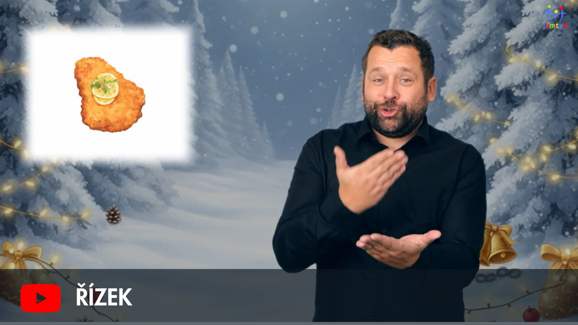 Řízek